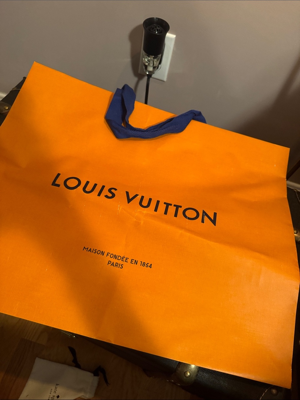 Louis Vuitton shopping bag for speedy box